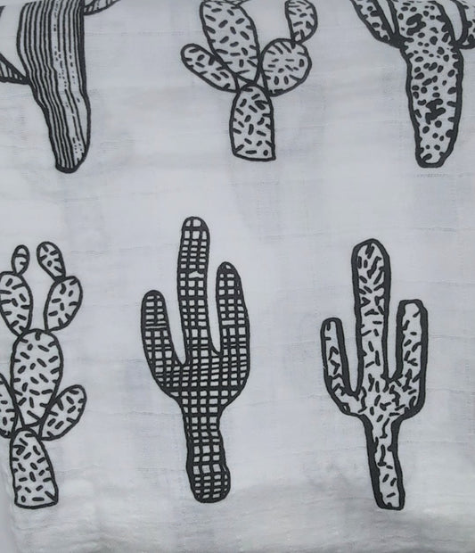 Mousseline cactus